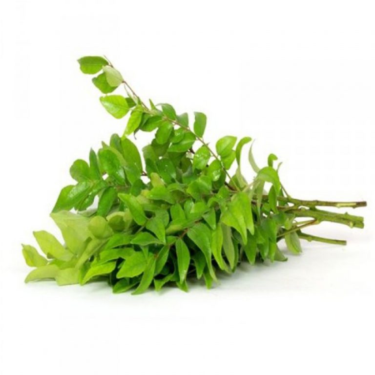 curry-leaves-harish-food-zone